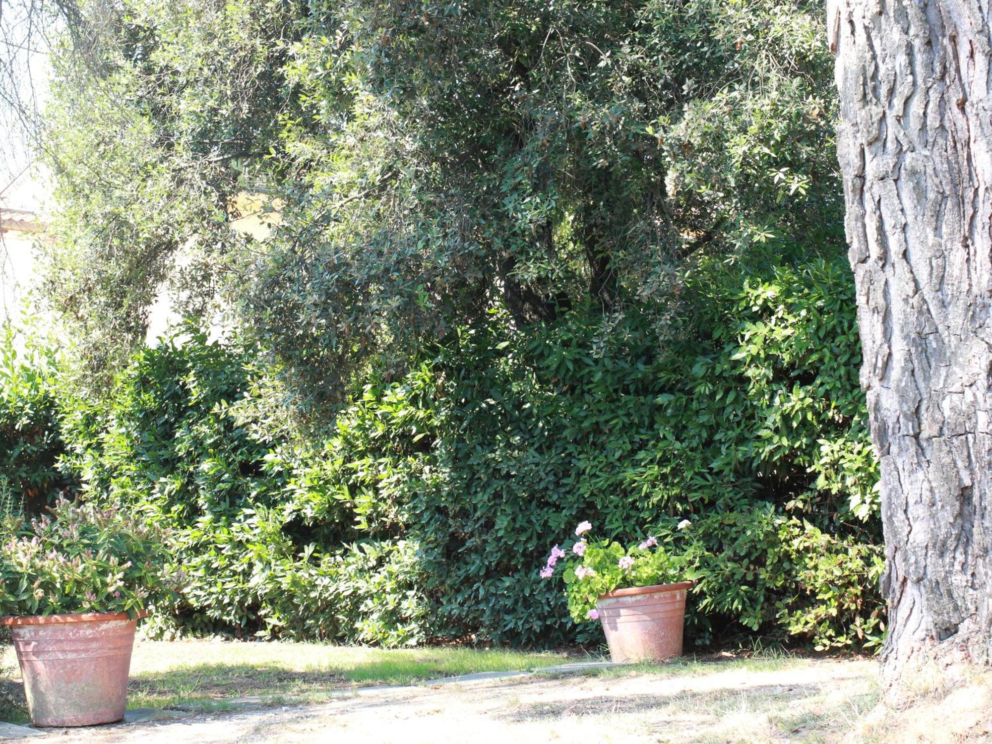 Latignano Villetta La Pineta מראה חיצוני תמונה