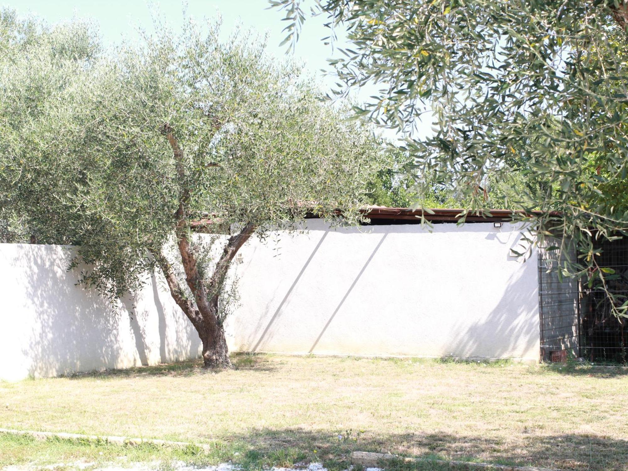 Latignano Villetta La Pineta מראה חיצוני תמונה